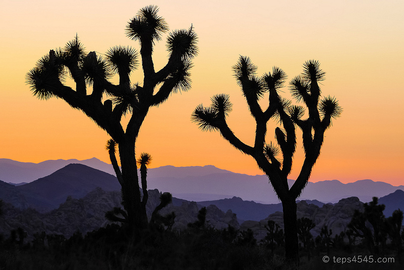 Hidden Valley Sunset