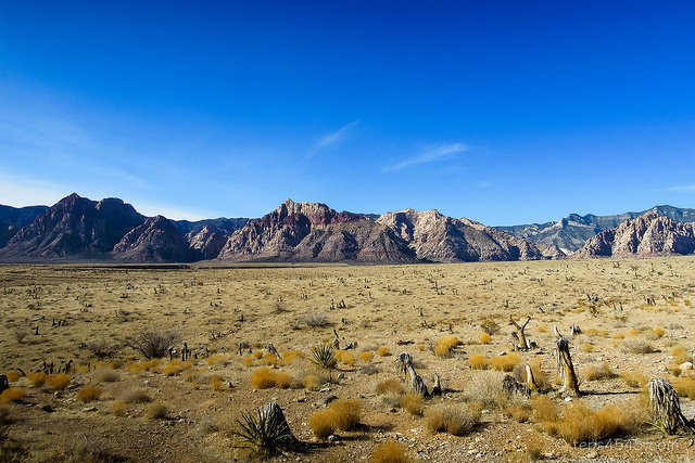 Panoramic view / Red Rock Canyon, NV