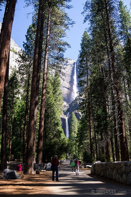 Yosemite Fall at Lower Yosemite Fall Trail / Yosemite NP, CA