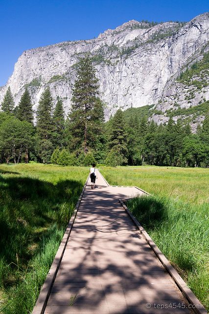 boardwalk / Yosemite NP, CA