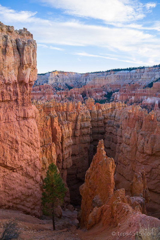 Entrance of the Navajo Loop Trail