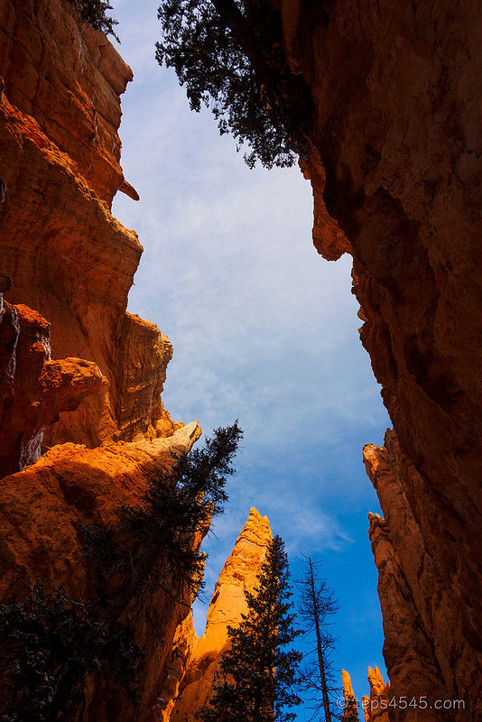 Navajo Loop Trail