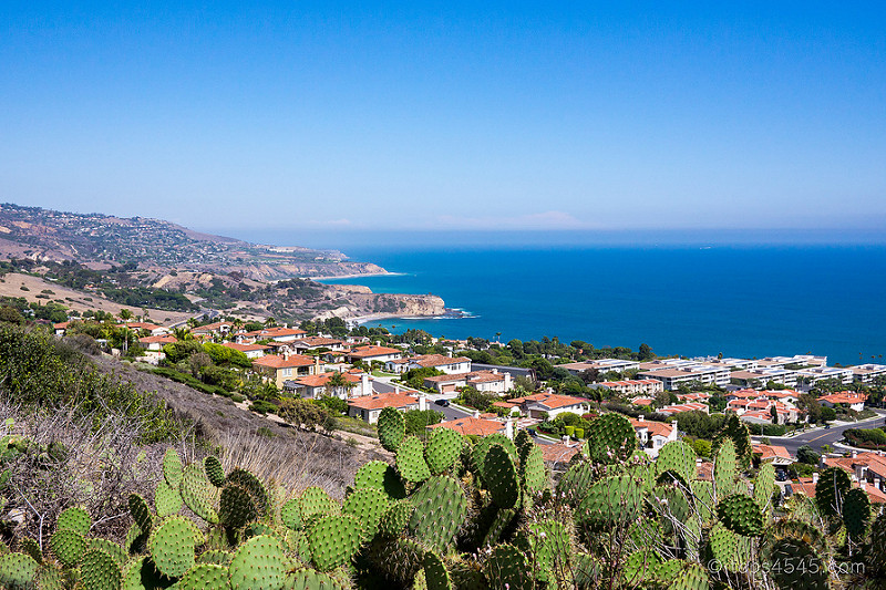 Hilltop near Point Vicente