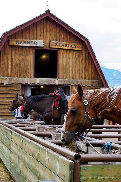 Warner Stable, Banff town