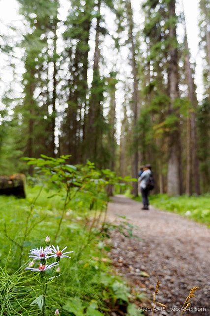 Good trail for toddler, Fenland Trail