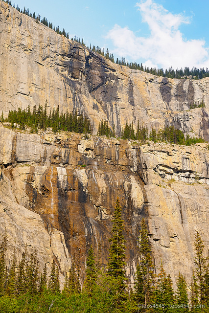 Weeping Wall