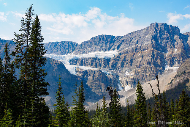 Crowfoot Glacier