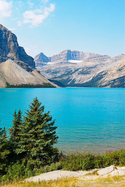 Bow Lake