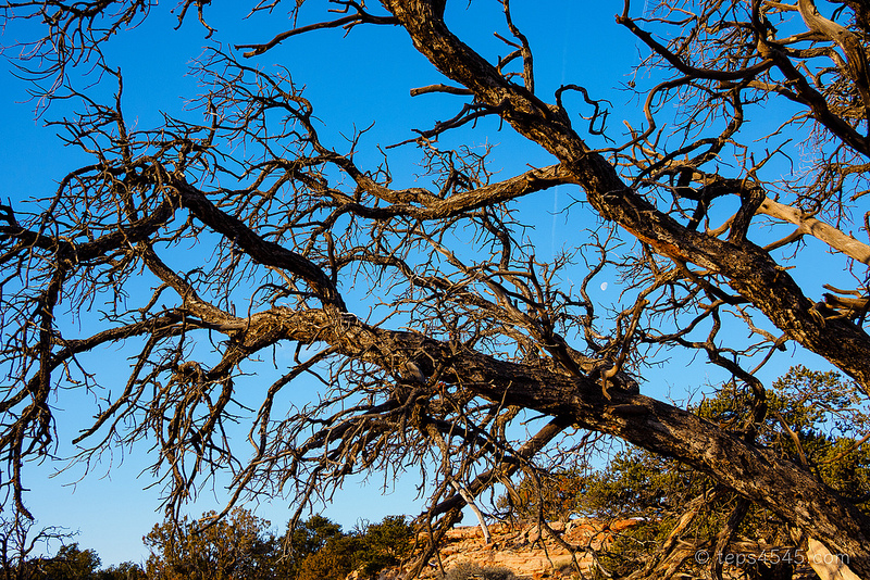 Mesa Arch Trail - oak and moon