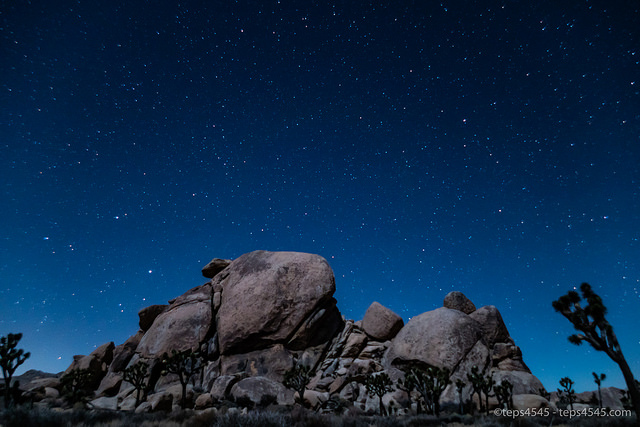 midnight, Joshua Tree National Park, CA