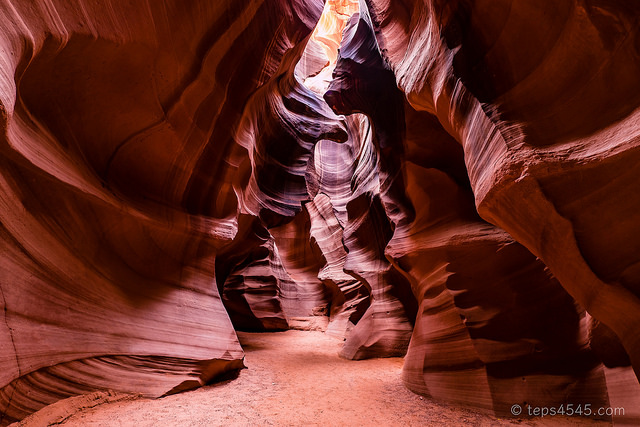 forest / Upper Antelope Canyon, Page, AZ